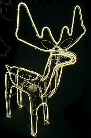 RENIFER NEON LED Z 8 PROGRAMAMI I PROGRAMATOREM – CIEPŁE BIAŁE ŚWIATŁO