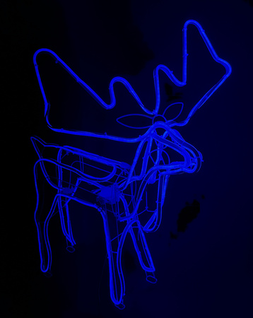 RENIFER NEON LED Z 8 PROGRAMAMI I PROGRAMATOREM – NIEBIESKIE ŚWIATŁO