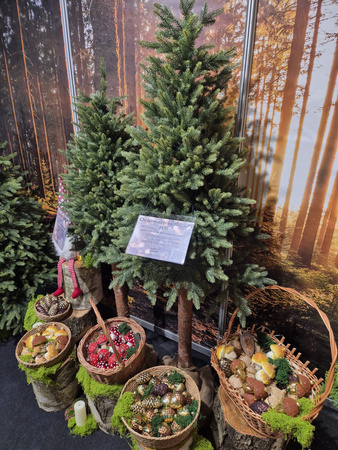 Sztuczna Choinka 170 cm na Pniu – 100% PE, Silikonowa, Jasnozielona